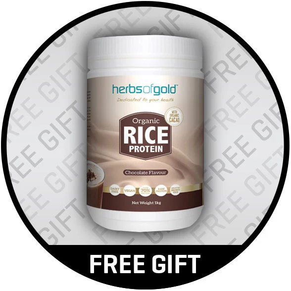 Organic Rice Protein by Herbs of Gold - Image 2